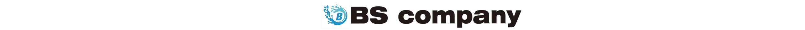 BS COMPANY
