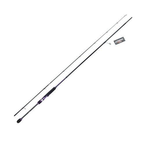 BS컴퍼니 롤리팝 에깅 832M 무늬오징어 루어대